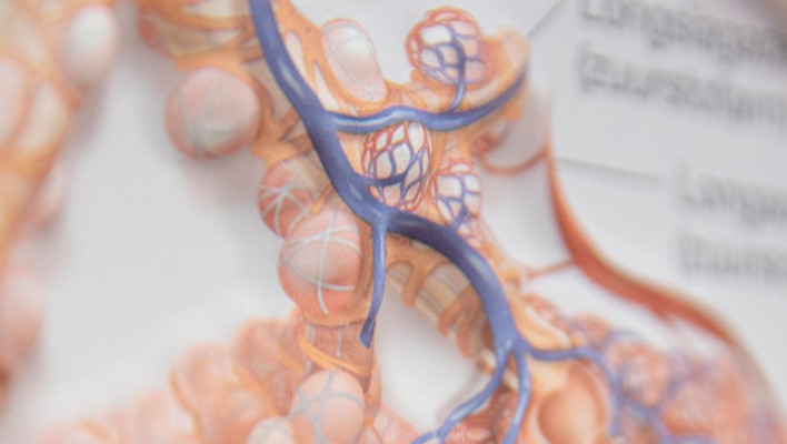 detailfoto van poster met medische informatie over longen